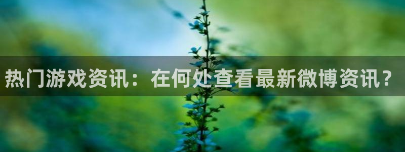优贝娱乐注册服务条款：热门游戏资讯：在何处查看最新微博资讯？