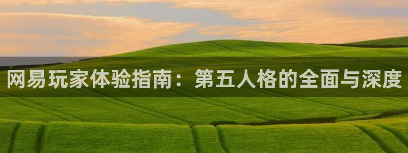 优贝娱乐4主管：网易玩家体验指南：第五人格的全面与深度