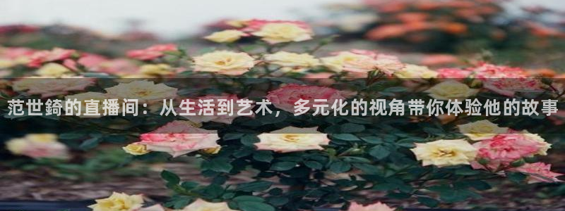 搜球吧nba视频直播：范世錡的直播间：从生活到艺术，多元化的视角带你体验他的故事