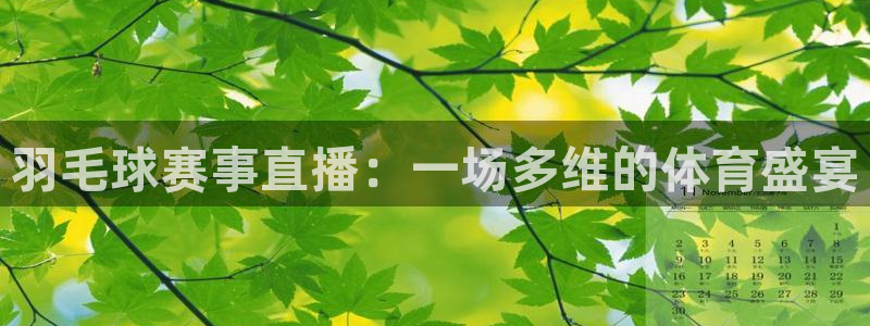 搜球8直播：羽毛球赛事直播：一场多维的体育盛宴