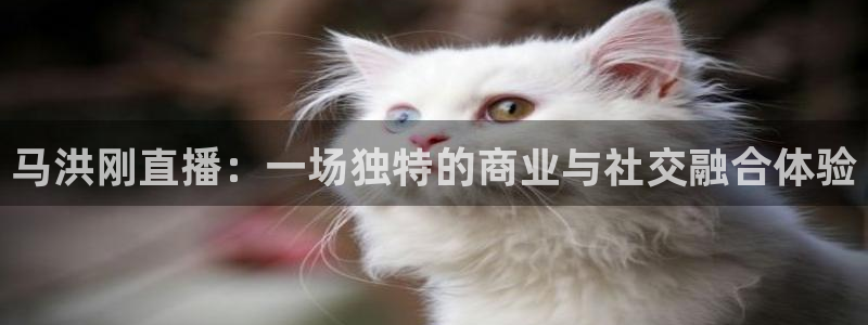 搜球吧直播网：马洪刚直播：一场独特的商业与社交融合体验