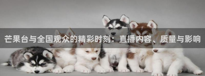 搜球体育下载