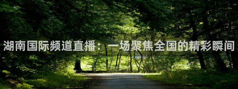 搜球吧直播nba直播：湖南国际频道直播：一场聚焦全国的精彩瞬间