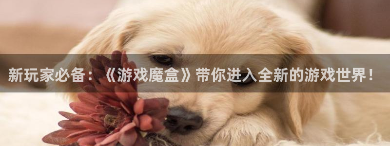 优贝娱乐线路测试:新玩家必备:《游戏魔盒》带你进入全新的游戏