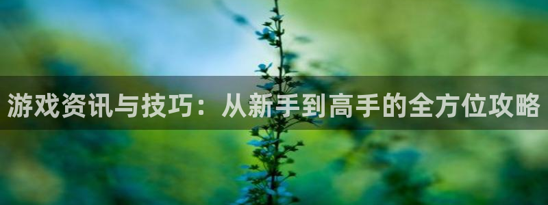 优贝娱乐注册账号：游戏资讯与技巧：从新手到高手的全方位攻略