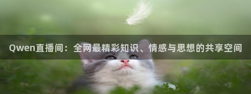 搜球直播吧：Qwen直播间：全网最精彩知识、情感与思想的共享空间