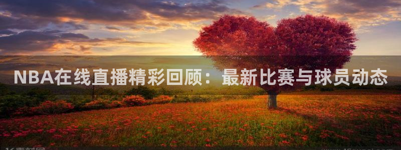 搜球吧直播：NBA在线直播精彩回顾：最新比赛与球员动态