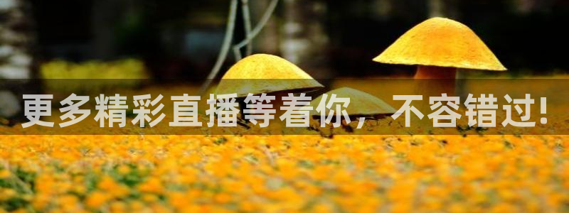 搜球吧nba视频直播：更多精彩直播等着你，不容错过!