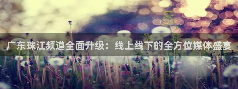 搜球吧8直播免费观看