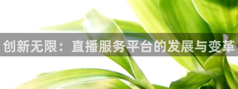 搜球吧nba在线直播：创新无限：直播服务平台的发展与变革