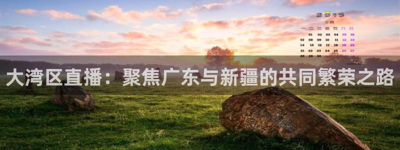 搜球吧直播nba直播：大湾区直播：聚焦广东与新疆的共同繁荣之路